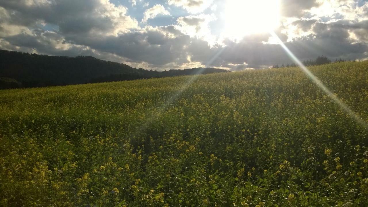 Blick In Die Suedeifel Biersdorf Exterior foto